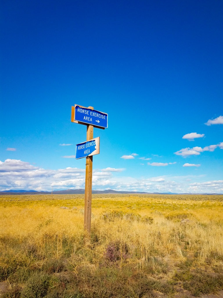 {wandering} High Desert & Outback, OR, September 2019