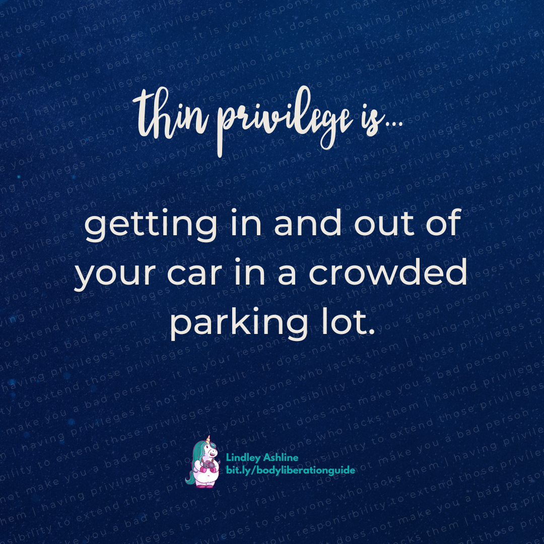 A dark blue background with this text faintly overlaid: "having privileges is not your fault - it does not make you a bad person - it is your responsibility to extend those privileges to everyone who lacks them." Layered on this is the first line of this post plus Lindley's logo.